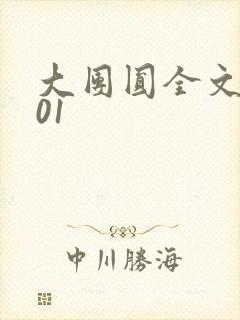 大团圆全文阅读01