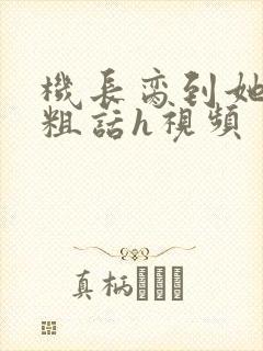 机长脔到她哭h粗话h视频