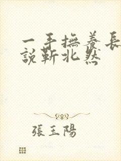 一手抚养长大小说靳北然封面