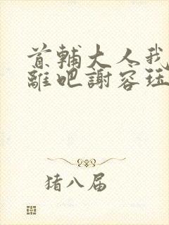 首辅大人我们和离吧谢容珏