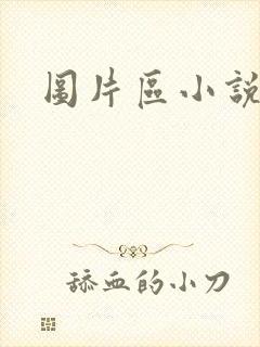 图片区小说区
