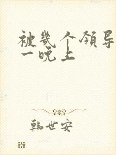 被几个领导玩弄一晚上