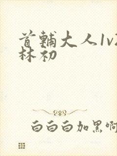 首辅大人1v2林初封面