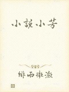 小说小芳