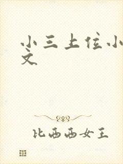 小三上位小说全文