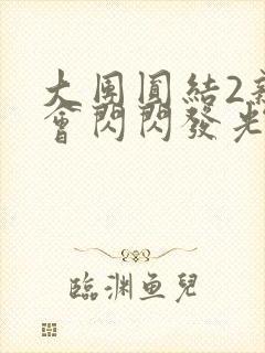 大团圆结2亲情会闪闪发光亲情会