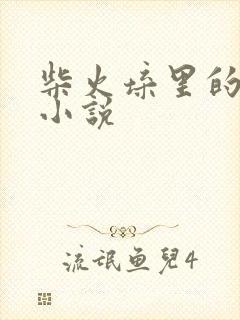 柴火垛里的疯狂小说封面