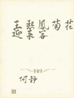 王熙凤菊花门初迎来客