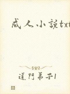 成人小说txt