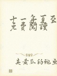 十一年夏至小说免费阅读封面