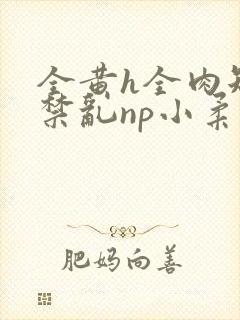 全黄h全肉短篇禁乱np小柔封面