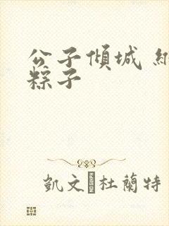 公子倾城 维和粽子