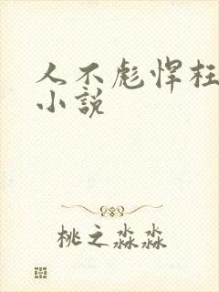 人不彪悍枉少年小说