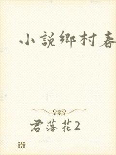 小说乡村春光封面