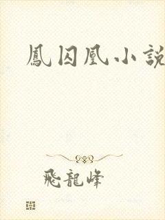 凤囚凰小说