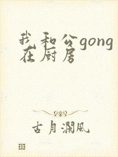 我和公gong在厨房