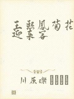 王熙凤菊花门初迎来客封面