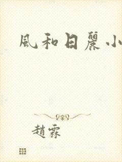 风和日丽小说封面