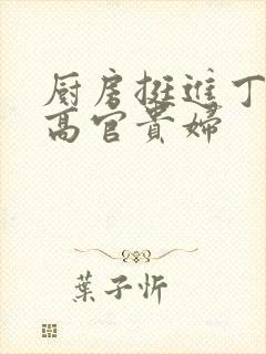 厨房挺进丁字裤高官贵妇