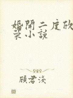 婚开二度欣欣向荣小说