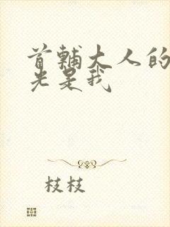 首辅大人的白月光是我封面