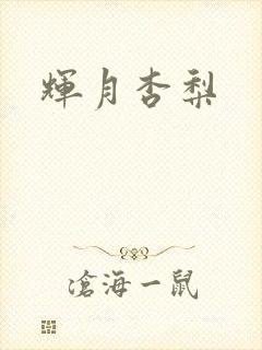 辉月杏梨封面