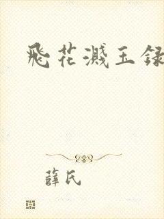 飞花溅玉录