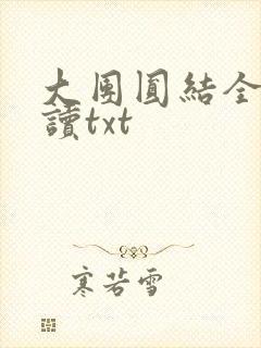 大团圆结全文阅读txt