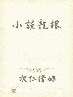 小说龙根