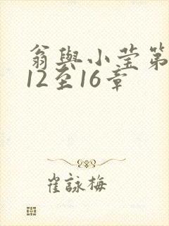 翁与小莹第十部12至16章