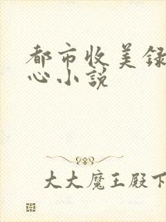 都市收美录宁素心小说封面