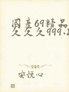 国产69精品久久久久999小说