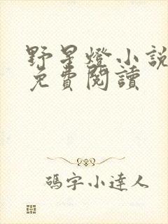 野星灯小说全文免费阅读