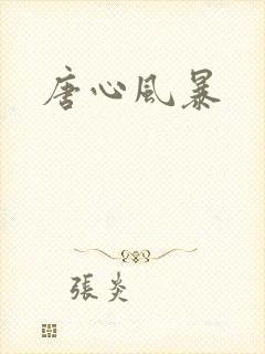 唐心风暴