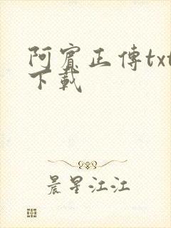 阿宾正传txt下载