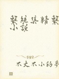 系统集精系统 小说封面