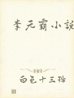 李元霸小说