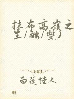 抹布高岭之花(生/触/双)