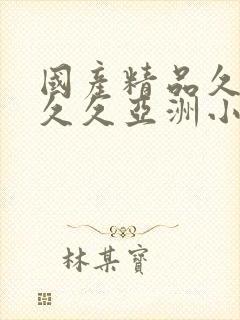 国产精品久久久久久亚洲小说