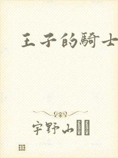 王子的骑士小说