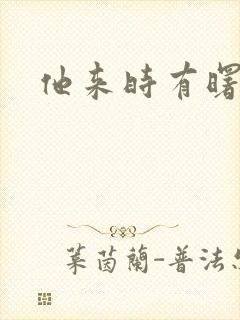 他来时有曙光封面