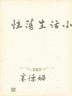性荡生活小说封面