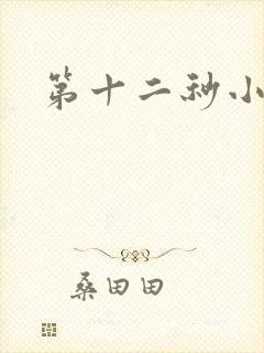 第十二秒小说封面