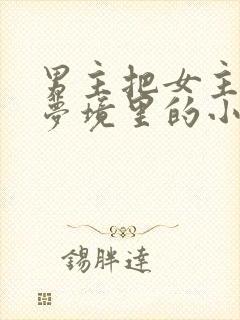 男主把女主拖进梦境里的小说