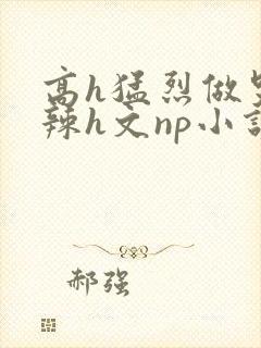 高h猛烈做哭高辣h文np小说