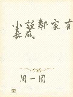 小说邻家有女初长成封面