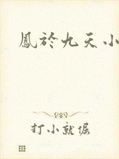 凤于九天小说