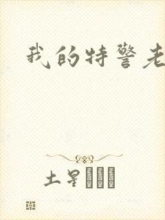 我的特警老婆
