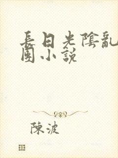 长日光阴乱作一团小说