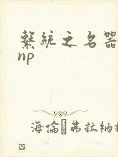 系统之名器攻略np封面